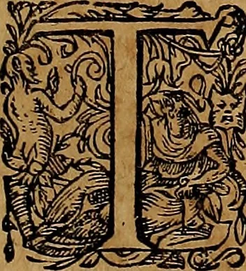 An illustration from Americæ nona & postrema pars : qua de ratione elementorum, de novi orbis natvra, de hvivs incolarvm svperstitiosis cultibus : deq; forma politiæ ac reipubl. ipsorum copiosè pertractatur : catalogo regnum Mexicanorum omnium, à primo vsq; ad vltimum Monteçuman II. additio ... : his accessit designatio illivs navigationis, quam 5. naves Hollandicae anno 1598. per fretum Magellanum in Moluccanas insulas tentarunt : quomodo nimirum oborta tempestate Capitaeus Sebalt de Weert à cæteris nauibus dispulsus, postquam plurimis mensibus in freto infinitis aerumnis miserè iactatus fuisset, tandem infectare post biennum an. 1600. domum reuersus sit : addita est tertio navigatio recens, quam 4. navium praefectus Olevier à Noort proximè suscepit ... : omnia è Germanico Latinitate donata, & insuper elegantissimis figuris æneis coornata editaq; sumptibus Theodori de Bry p.m. Viduæ & binorum filiorum, 1602, leaf 448