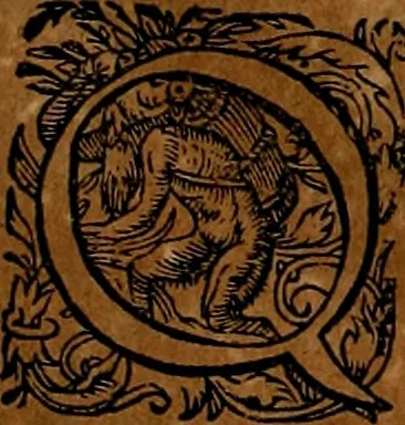 An illustration from Americæ nona & postrema pars : qua de ratione elementorum, de novi orbis natvra, de hvivs incolarvm svperstitiosis cultibus : deq; forma politiæ ac reipubl. ipsorum copiosè pertractatur : catalogo regnum Mexicanorum omnium, à primo vsq; ad vltimum Monteçuman II. additio ... : his accessit designatio illivs navigationis, quam 5. naves Hollandicae anno 1598. per fretum Magellanum in Moluccanas insulas tentarunt : quomodo nimirum oborta tempestate Capitaeus Sebalt de Weert à cæteris nauibus dispulsus, postquam plurimis mensibus in freto infinitis aerumnis miserè iactatus fuisset, tandem infectare post biennum an. 1600. domum reuersus sit : addita est tertio navigatio recens, quam 4. navium praefectus Olevier à Noort proximè suscepit ... : omnia è Germanico Latinitate donata, & insuper elegantissimis figuris æneis coornata editaq; sumptibus Theodori de Bry p.m. Viduæ & binorum filiorum, 1602, leaf 45