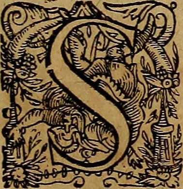 An illustration from Americæ nona & postrema pars : qua de ratione elementorum, de novi orbis natvra, de hvivs incolarvm svperstitiosis cultibus : deq; forma politiæ ac reipubl. ipsorum copiosè pertractatur : catalogo regnum Mexicanorum omnium, à primo vsq; ad vltimum Monteçuman II. additio ... : his accessit designatio illivs navigationis, quam 5. naves Hollandicae anno 1598. per fretum Magellanum in Moluccanas insulas tentarunt : quomodo nimirum oborta tempestate Capitaeus Sebalt de Weert à cæteris nauibus dispulsus, postquam plurimis mensibus in freto infinitis aerumnis miserè iactatus fuisset, tandem infectare post biennum an. 1600. domum reuersus sit : addita est tertio navigatio recens, quam 4. navium praefectus Olevier à Noort proximè suscepit ... : omnia è Germanico Latinitate donata, & insuper elegantissimis figuris æneis coornata editaq; sumptibus Theodori de Bry p.m. Viduæ & binorum filiorum, 1602, leaf 450