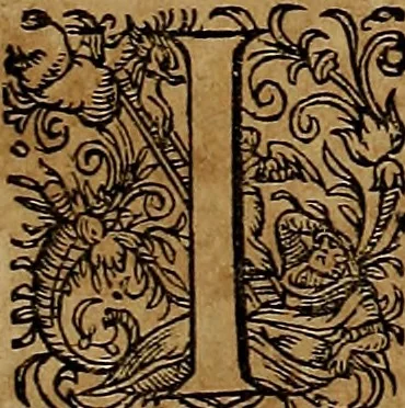 An illustration from Americæ nona & postrema pars : qua de ratione elementorum, de novi orbis natvra, de hvivs incolarvm svperstitiosis cultibus : deq; forma politiæ ac reipubl. ipsorum copiosè pertractatur : catalogo regnum Mexicanorum omnium, à primo vsq; ad vltimum Monteçuman II. additio ... : his accessit designatio illivs navigationis, quam 5. naves Hollandicae anno 1598. per fretum Magellanum in Moluccanas insulas tentarunt : quomodo nimirum oborta tempestate Capitaeus Sebalt de Weert à cæteris nauibus dispulsus, postquam plurimis mensibus in freto infinitis aerumnis miserè iactatus fuisset, tandem infectare post biennum an. 1600. domum reuersus sit : addita est tertio navigatio recens, quam 4. navium praefectus Olevier à Noort proximè suscepit ... : omnia è Germanico Latinitate donata, & insuper elegantissimis figuris æneis coornata editaq; sumptibus Theodori de Bry p.m. Viduæ & binorum filiorum, 1602, leaf 454