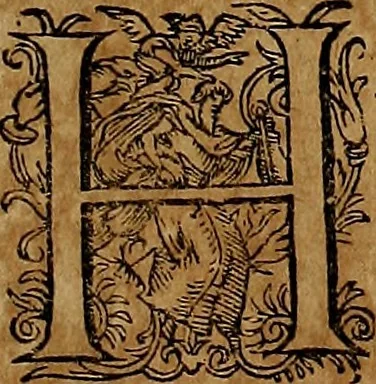 An illustration from Americæ nona & postrema pars : qua de ratione elementorum, de novi orbis natvra, de hvivs incolarvm svperstitiosis cultibus : deq; forma politiæ ac reipubl. ipsorum copiosè pertractatur : catalogo regnum Mexicanorum omnium, à primo vsq; ad vltimum Monteçuman II. additio ... : his accessit designatio illivs navigationis, quam 5. naves Hollandicae anno 1598. per fretum Magellanum in Moluccanas insulas tentarunt : quomodo nimirum oborta tempestate Capitaeus Sebalt de Weert à cæteris nauibus dispulsus, postquam plurimis mensibus in freto infinitis aerumnis miserè iactatus fuisset, tandem infectare post biennum an. 1600. domum reuersus sit : addita est tertio navigatio recens, quam 4. navium praefectus Olevier à Noort proximè suscepit ... : omnia è Germanico Latinitate donata, & insuper elegantissimis figuris æneis coornata editaq; sumptibus Theodori de Bry p.m. Viduæ & binorum filiorum, 1602, leaf 456