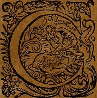 An illustration from Americæ nona & postrema pars : qua de ratione elementorum, de novi orbis natvra, de hvivs incolarvm svperstitiosis cultibus : deq; forma politiæ ac reipubl. ipsorum copiosè pertractatur : catalogo regnum Mexicanorum omnium, à primo vsq; ad vltimum Monteçuman II. additio ... : his accessit designatio illivs navigationis, quam 5. naves Hollandicae anno 1598. per fretum Magellanum in Moluccanas insulas tentarunt : quomodo nimirum oborta tempestate Capitaeus Sebalt de Weert à cæteris nauibus dispulsus, postquam plurimis mensibus in freto infinitis aerumnis miserè iactatus fuisset, tandem infectare post biennum an. 1600. domum reuersus sit : addita est tertio navigatio recens, quam 4. navium praefectus Olevier à Noort proximè suscepit ... : omnia è Germanico Latinitate donata, & insuper elegantissimis figuris æneis coornata editaq; sumptibus Theodori de Bry p.m. Viduæ & binorum filiorum, 1602, leaf 46