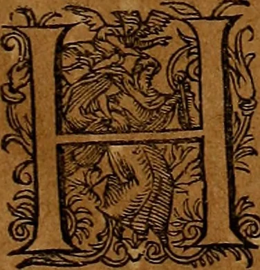 An illustration from Americæ nona & postrema pars : qua de ratione elementorum, de novi orbis natvra, de hvivs incolarvm svperstitiosis cultibus : deq; forma politiæ ac reipubl. ipsorum copiosè pertractatur : catalogo regnum Mexicanorum omnium, à primo vsq; ad vltimum Monteçuman II. additio ... : his accessit designatio illivs navigationis, quam 5. naves Hollandicae anno 1598. per fretum Magellanum in Moluccanas insulas tentarunt : quomodo nimirum oborta tempestate Capitaeus Sebalt de Weert à cæteris nauibus dispulsus, postquam plurimis mensibus in freto infinitis aerumnis miserè iactatus fuisset, tandem infectare post biennum an. 1600. domum reuersus sit : addita est tertio navigatio recens, quam 4. navium praefectus Olevier à Noort proximè suscepit ... : omnia è Germanico Latinitate donata, & insuper elegantissimis figuris æneis coornata editaq; sumptibus Theodori de Bry p.m. Viduæ & binorum filiorum, 1602, leaf 462