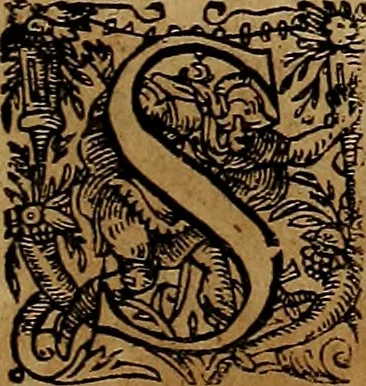 An illustration from Americæ nona & postrema pars : qua de ratione elementorum, de novi orbis natvra, de hvivs incolarvm svperstitiosis cultibus : deq; forma politiæ ac reipubl. ipsorum copiosè pertractatur : catalogo regnum Mexicanorum omnium, à primo vsq; ad vltimum Monteçuman II. additio ... : his accessit designatio illivs navigationis, quam 5. naves Hollandicae anno 1598. per fretum Magellanum in Moluccanas insulas tentarunt : quomodo nimirum oborta tempestate Capitaeus Sebalt de Weert à cæteris nauibus dispulsus, postquam plurimis mensibus in freto infinitis aerumnis miserè iactatus fuisset, tandem infectare post biennum an. 1600. domum reuersus sit : addita est tertio navigatio recens, quam 4. navium praefectus Olevier à Noort proximè suscepit ... : omnia è Germanico Latinitate donata, & insuper elegantissimis figuris æneis coornata editaq; sumptibus Theodori de Bry p.m. Viduæ & binorum filiorum, 1602, leaf 464