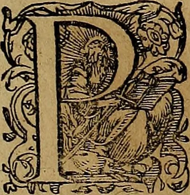 An illustration from Americæ nona & postrema pars : qua de ratione elementorum, de novi orbis natvra, de hvivs incolarvm svperstitiosis cultibus : deq; forma politiæ ac reipubl. ipsorum copiosè pertractatur : catalogo regnum Mexicanorum omnium, à primo vsq; ad vltimum Monteçuman II. additio ... : his accessit designatio illivs navigationis, quam 5. naves Hollandicae anno 1598. per fretum Magellanum in Moluccanas insulas tentarunt : quomodo nimirum oborta tempestate Capitaeus Sebalt de Weert à cæteris nauibus dispulsus, postquam plurimis mensibus in freto infinitis aerumnis miserè iactatus fuisset, tandem infectare post biennum an. 1600. domum reuersus sit : addita est tertio navigatio recens, quam 4. navium praefectus Olevier à Noort proximè suscepit ... : omnia è Germanico Latinitate donata, & insuper elegantissimis figuris æneis coornata editaq; sumptibus Theodori de Bry p.m. Viduæ & binorum filiorum, 1602, leaf 468