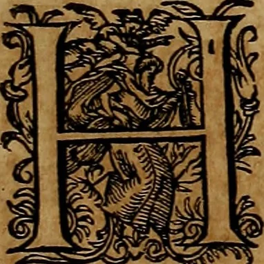 An illustration from Americæ nona & postrema pars : qua de ratione elementorum, de novi orbis natvra, de hvivs incolarvm svperstitiosis cultibus : deq; forma politiæ ac reipubl. ipsorum copiosè pertractatur : catalogo regnum Mexicanorum omnium, à primo vsq; ad vltimum Monteçuman II. additio ... : his accessit designatio illivs navigationis, quam 5. naves Hollandicae anno 1598. per fretum Magellanum in Moluccanas insulas tentarunt : quomodo nimirum oborta tempestate Capitaeus Sebalt de Weert à cæteris nauibus dispulsus, postquam plurimis mensibus in freto infinitis aerumnis miserè iactatus fuisset, tandem infectare post biennum an. 1600. domum reuersus sit : addita est tertio navigatio recens, quam 4. navium praefectus Olevier à Noort proximè suscepit ... : omnia è Germanico Latinitate donata, & insuper elegantissimis figuris æneis coornata editaq; sumptibus Theodori de Bry p.m. Viduæ & binorum filiorum, 1602, leaf 472