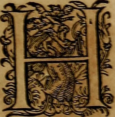 An illustration from Americæ nona & postrema pars : qua de ratione elementorum, de novi orbis natvra, de hvivs incolarvm svperstitiosis cultibus : deq; forma politiæ ac reipubl. ipsorum copiosè pertractatur : catalogo regnum Mexicanorum omnium, à primo vsq; ad vltimum Monteçuman II. additio ... : his accessit designatio illivs navigationis, quam 5. naves Hollandicae anno 1598. per fretum Magellanum in Moluccanas insulas tentarunt : quomodo nimirum oborta tempestate Capitaeus Sebalt de Weert à cæteris nauibus dispulsus, postquam plurimis mensibus in freto infinitis aerumnis miserè iactatus fuisset, tandem infectare post biennum an. 1600. domum reuersus sit : addita est tertio navigatio recens, quam 4. navium praefectus Olevier à Noort proximè suscepit ... : omnia è Germanico Latinitate donata, & insuper elegantissimis figuris æneis coornata editaq; sumptibus Theodori de Bry p.m. Viduæ & binorum filiorum, 1602, leaf 474