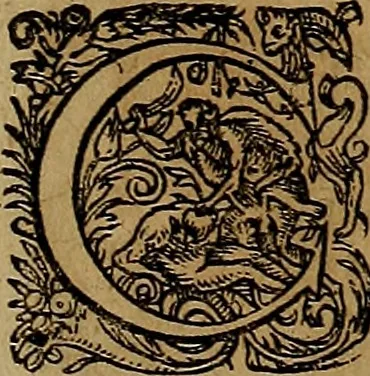 An illustration from Americæ nona & postrema pars : qua de ratione elementorum, de novi orbis natvra, de hvivs incolarvm svperstitiosis cultibus : deq; forma politiæ ac reipubl. ipsorum copiosè pertractatur : catalogo regnum Mexicanorum omnium, à primo vsq; ad vltimum Monteçuman II. additio ... : his accessit designatio illivs navigationis, quam 5. naves Hollandicae anno 1598. per fretum Magellanum in Moluccanas insulas tentarunt : quomodo nimirum oborta tempestate Capitaeus Sebalt de Weert à cæteris nauibus dispulsus, postquam plurimis mensibus in freto infinitis aerumnis miserè iactatus fuisset, tandem infectare post biennum an. 1600. domum reuersus sit : addita est tertio navigatio recens, quam 4. navium praefectus Olevier à Noort proximè suscepit ... : omnia è Germanico Latinitate donata, & insuper elegantissimis figuris æneis coornata editaq; sumptibus Theodori de Bry p.m. Viduæ & binorum filiorum, 1602, leaf 476