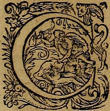 An illustration from Americæ nona & postrema pars : qua de ratione elementorum, de novi orbis natvra, de hvivs incolarvm svperstitiosis cultibus : deq; forma politiæ ac reipubl. ipsorum copiosè pertractatur : catalogo regnum Mexicanorum omnium, à primo vsq; ad vltimum Monteçuman II. additio ... : his accessit designatio illivs navigationis, quam 5. naves Hollandicae anno 1598. per fretum Magellanum in Moluccanas insulas tentarunt : quomodo nimirum oborta tempestate Capitaeus Sebalt de Weert à cæteris nauibus dispulsus, postquam plurimis mensibus in freto infinitis aerumnis miserè iactatus fuisset, tandem infectare post biennum an. 1600. domum reuersus sit : addita est tertio navigatio recens, quam 4. navium praefectus Olevier à Noort proximè suscepit ... : omnia è Germanico Latinitate donata, & insuper elegantissimis figuris æneis coornata editaq; sumptibus Theodori de Bry p.m. Viduæ & binorum filiorum, 1602, leaf 478