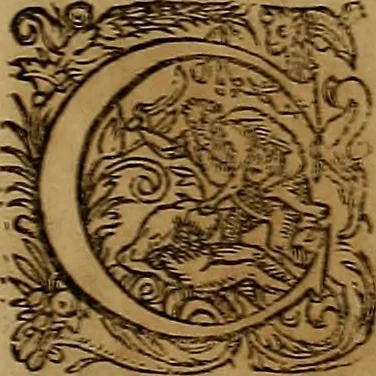 An illustration from Americæ nona & postrema pars : qua de ratione elementorum, de novi orbis natvra, de hvivs incolarvm svperstitiosis cultibus : deq; forma politiæ ac reipubl. ipsorum copiosè pertractatur : catalogo regnum Mexicanorum omnium, à primo vsq; ad vltimum Monteçuman II. additio ... : his accessit designatio illivs navigationis, quam 5. naves Hollandicae anno 1598. per fretum Magellanum in Moluccanas insulas tentarunt : quomodo nimirum oborta tempestate Capitaeus Sebalt de Weert à cæteris nauibus dispulsus, postquam plurimis mensibus in freto infinitis aerumnis miserè iactatus fuisset, tandem infectare post biennum an. 1600. domum reuersus sit : addita est tertio navigatio recens, quam 4. navium praefectus Olevier à Noort proximè suscepit ... : omnia è Germanico Latinitate donata, & insuper elegantissimis figuris æneis coornata editaq; sumptibus Theodori de Bry p.m. Viduæ & binorum filiorum, 1602, leaf 480