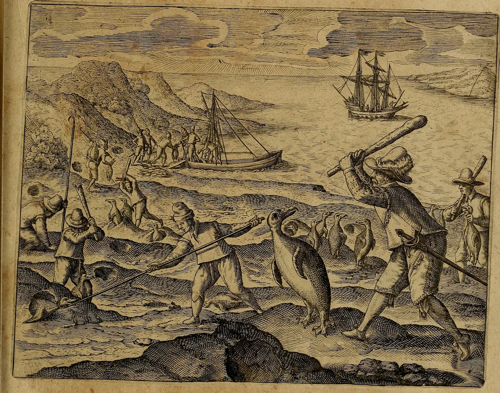 An illustration from Americæ nona & postrema pars : qua de ratione elementorum, de novi orbis natvra, de hvivs incolarvm svperstitiosis cultibus : deq; forma politiæ ac reipubl. ipsorum copiosè pertractatur : catalogo regnum Mexicanorum omnium, à primo vsq; ad vltimum Monteçuman II. additio ... : his accessit designatio illivs navigationis, quam 5. naves Hollandicae anno 1598. per fretum Magellanum in Moluccanas insulas tentarunt : quomodo nimirum oborta tempestate Capitaeus Sebalt de Weert à cæteris nauibus dispulsus, postquam plurimis mensibus in freto infinitis aerumnis miserè iactatus fuisset, tandem infectare post biennum an. 1600. domum reuersus sit : addita est tertio navigatio recens, quam 4. navium praefectus Olevier à Noort proximè suscepit ... : omnia è Germanico Latinitate donata, & insuper elegantissimis figuris æneis coornata editaq; sumptibus Theodori de Bry p.m. Viduæ & binorum filiorum, 1602, leaf 482