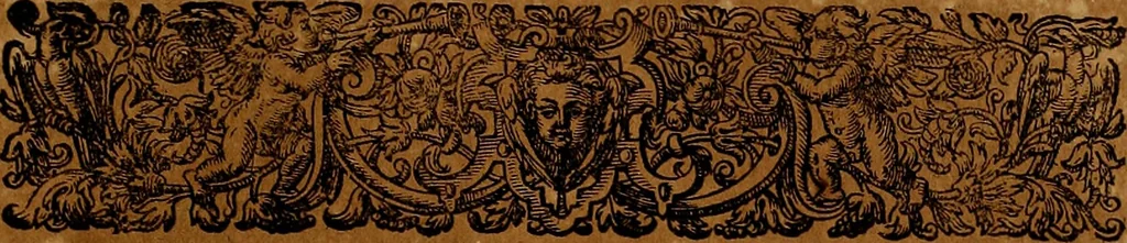 An illustration from Americæ nona & postrema pars : qua de ratione elementorum, de novi orbis natvra, de hvivs incolarvm svperstitiosis cultibus : deq; forma politiæ ac reipubl. ipsorum copiosè pertractatur : catalogo regnum Mexicanorum omnium, à primo vsq; ad vltimum Monteçuman II. additio ... : his accessit designatio illivs navigationis, quam 5. naves Hollandicae anno 1598. per fretum Magellanum in Moluccanas insulas tentarunt : quomodo nimirum oborta tempestate Capitaeus Sebalt de Weert à cæteris nauibus dispulsus, postquam plurimis mensibus in freto infinitis aerumnis miserè iactatus fuisset, tandem infectare post biennum an. 1600. domum reuersus sit : addita est tertio navigatio recens, quam 4. navium praefectus Olevier à Noort proximè suscepit ... : omnia è Germanico Latinitate donata, & insuper elegantissimis figuris æneis coornata editaq; sumptibus Theodori de Bry p.m. Viduæ & binorum filiorum, 1602, leaf 486