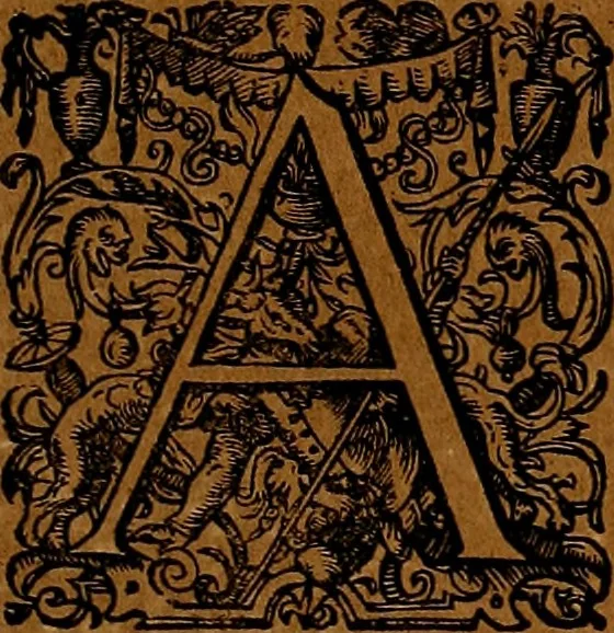 An illustration from Americæ nona & postrema pars : qua de ratione elementorum, de novi orbis natvra, de hvivs incolarvm svperstitiosis cultibus : deq; forma politiæ ac reipubl. ipsorum copiosè pertractatur : catalogo regnum Mexicanorum omnium, à primo vsq; ad vltimum Monteçuman II. additio ... : his accessit designatio illivs navigationis, quam 5. naves Hollandicae anno 1598. per fretum Magellanum in Moluccanas insulas tentarunt : quomodo nimirum oborta tempestate Capitaeus Sebalt de Weert à cæteris nauibus dispulsus, postquam plurimis mensibus in freto infinitis aerumnis miserè iactatus fuisset, tandem infectare post biennum an. 1600. domum reuersus sit : addita est tertio navigatio recens, quam 4. navium praefectus Olevier à Noort proximè suscepit ... : omnia è Germanico Latinitate donata, & insuper elegantissimis figuris æneis coornata editaq; sumptibus Theodori de Bry p.m. Viduæ & binorum filiorum, 1602, leaf 486