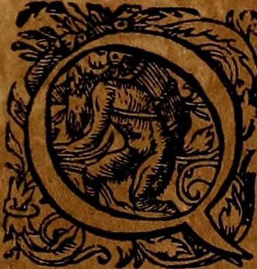 An illustration from Americæ nona & postrema pars : qua de ratione elementorum, de novi orbis natvra, de hvivs incolarvm svperstitiosis cultibus : deq; forma politiæ ac reipubl. ipsorum copiosè pertractatur : catalogo regnum Mexicanorum omnium, à primo vsq; ad vltimum Monteçuman II. additio ... : his accessit designatio illivs navigationis, quam 5. naves Hollandicae anno 1598. per fretum Magellanum in Moluccanas insulas tentarunt : quomodo nimirum oborta tempestate Capitaeus Sebalt de Weert à cæteris nauibus dispulsus, postquam plurimis mensibus in freto infinitis aerumnis miserè iactatus fuisset, tandem infectare post biennum an. 1600. domum reuersus sit : addita est tertio navigatio recens, quam 4. navium praefectus Olevier à Noort proximè suscepit ... : omnia è Germanico Latinitate donata, & insuper elegantissimis figuris æneis coornata editaq; sumptibus Theodori de Bry p.m. Viduæ & binorum filiorum, 1602, leaf 58