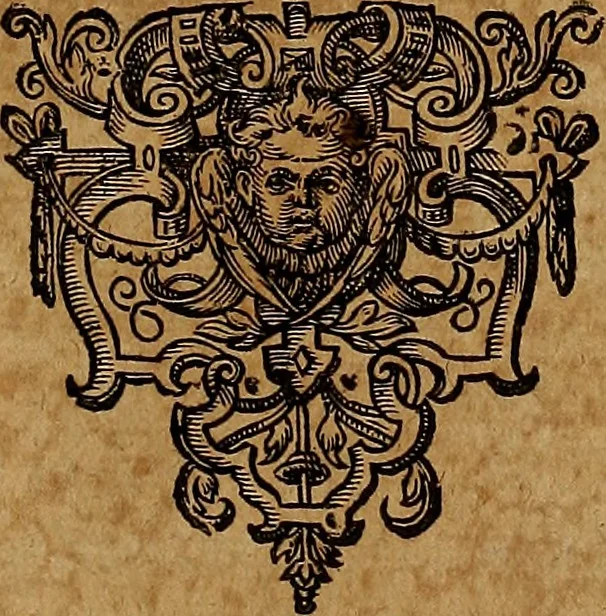 An illustration from Americæ nona & postrema pars : qua de ratione elementorum, de novi orbis natvra, de hvivs incolarvm svperstitiosis cultibus : deq; forma politiæ ac reipubl. ipsorum copiosè pertractatur : catalogo regnum Mexicanorum omnium, à primo vsq; ad vltimum Monteçuman II. additio ... : his accessit designatio illivs navigationis, quam 5. naves Hollandicae anno 1598. per fretum Magellanum in Moluccanas insulas tentarunt : quomodo nimirum oborta tempestate Capitaeus Sebalt de Weert à cæteris nauibus dispulsus, postquam plurimis mensibus in freto infinitis aerumnis miserè iactatus fuisset, tandem infectare post biennum an. 1600. domum reuersus sit : addita est tertio navigatio recens, quam 4. navium praefectus Olevier à Noort proximè suscepit ... : omnia è Germanico Latinitate donata, & insuper elegantissimis figuris æneis coornata editaq; sumptibus Theodori de Bry p.m. Viduæ & binorum filiorum, 1602, leaf 584