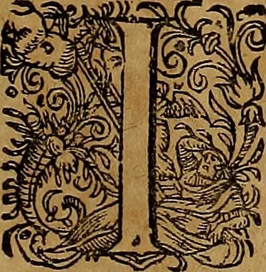 An illustration from Americæ nona & postrema pars : qua de ratione elementorum, de novi orbis natvra, de hvivs incolarvm svperstitiosis cultibus : deq; forma politiæ ac reipubl. ipsorum copiosè pertractatur : catalogo regnum Mexicanorum omnium, à primo vsq; ad vltimum Monteçuman II. additio ... : his accessit designatio illivs navigationis, quam 5. naves Hollandicae anno 1598. per fretum Magellanum in Moluccanas insulas tentarunt : quomodo nimirum oborta tempestate Capitaeus Sebalt de Weert à cæteris nauibus dispulsus, postquam plurimis mensibus in freto infinitis aerumnis miserè iactatus fuisset, tandem infectare post biennum an. 1600. domum reuersus sit : addita est tertio navigatio recens, quam 4. navium praefectus Olevier à Noort proximè suscepit ... : omnia è Germanico Latinitate donata, & insuper elegantissimis figuris æneis coornata editaq; sumptibus Theodori de Bry p.m. Viduæ & binorum filiorum, 1602, leaf 586