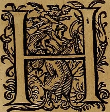 An illustration from Americæ nona & postrema pars : qua de ratione elementorum, de novi orbis natvra, de hvivs incolarvm svperstitiosis cultibus : deq; forma politiæ ac reipubl. ipsorum copiosè pertractatur : catalogo regnum Mexicanorum omnium, à primo vsq; ad vltimum Monteçuman II. additio ... : his accessit designatio illivs navigationis, quam 5. naves Hollandicae anno 1598. per fretum Magellanum in Moluccanas insulas tentarunt : quomodo nimirum oborta tempestate Capitaeus Sebalt de Weert à cæteris nauibus dispulsus, postquam plurimis mensibus in freto infinitis aerumnis miserè iactatus fuisset, tandem infectare post biennum an. 1600. domum reuersus sit : addita est tertio navigatio recens, quam 4. navium praefectus Olevier à Noort proximè suscepit ... : omnia è Germanico Latinitate donata, & insuper elegantissimis figuris æneis coornata editaq; sumptibus Theodori de Bry p.m. Viduæ & binorum filiorum, 1602, leaf 594