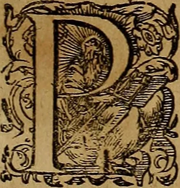 An illustration from Americæ nona & postrema pars : qua de ratione elementorum, de novi orbis natvra, de hvivs incolarvm svperstitiosis cultibus : deq; forma politiæ ac reipubl. ipsorum copiosè pertractatur : catalogo regnum Mexicanorum omnium, à primo vsq; ad vltimum Monteçuman II. additio ... : his accessit designatio illivs navigationis, quam 5. naves Hollandicae anno 1598. per fretum Magellanum in Moluccanas insulas tentarunt : quomodo nimirum oborta tempestate Capitaeus Sebalt de Weert à cæteris nauibus dispulsus, postquam plurimis mensibus in freto infinitis aerumnis miserè iactatus fuisset, tandem infectare post biennum an. 1600. domum reuersus sit : addita est tertio navigatio recens, quam 4. navium praefectus Olevier à Noort proximè suscepit ... : omnia è Germanico Latinitate donata, & insuper elegantissimis figuris æneis coornata editaq; sumptibus Theodori de Bry p.m. Viduæ & binorum filiorum, 1602, leaf 598