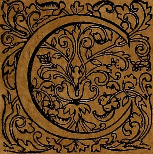 An illustration from Americæ nona & postrema pars : qua de ratione elementorum, de novi orbis natvra, de hvivs incolarvm svperstitiosis cultibus : deq; forma politiæ ac reipubl. ipsorum copiosè pertractatur : catalogo regnum Mexicanorum omnium, à primo vsq; ad vltimum Monteçuman II. additio ... : his accessit designatio illivs navigationis, quam 5. naves Hollandicae anno 1598. per fretum Magellanum in Moluccanas insulas tentarunt : quomodo nimirum oborta tempestate Capitaeus Sebalt de Weert à cæteris nauibus dispulsus, postquam plurimis mensibus in freto infinitis aerumnis miserè iactatus fuisset, tandem infectare post biennum an. 1600. domum reuersus sit : addita est tertio navigatio recens, quam 4. navium praefectus Olevier à Noort proximè suscepit ... : omnia è Germanico Latinitate donata, & insuper elegantissimis figuris æneis coornata editaq; sumptibus Theodori de Bry p.m. Viduæ & binorum filiorum, 1602, leaf 60