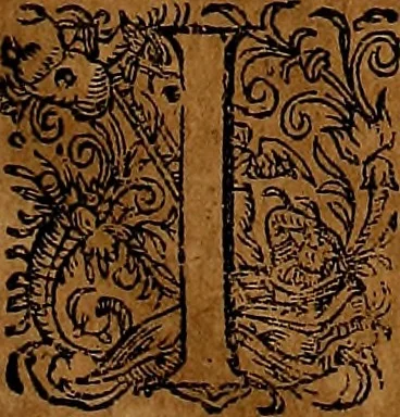 An illustration from Americæ nona & postrema pars : qua de ratione elementorum, de novi orbis natvra, de hvivs incolarvm svperstitiosis cultibus : deq; forma politiæ ac reipubl. ipsorum copiosè pertractatur : catalogo regnum Mexicanorum omnium, à primo vsq; ad vltimum Monteçuman II. additio ... : his accessit designatio illivs navigationis, quam 5. naves Hollandicae anno 1598. per fretum Magellanum in Moluccanas insulas tentarunt : quomodo nimirum oborta tempestate Capitaeus Sebalt de Weert à cæteris nauibus dispulsus, postquam plurimis mensibus in freto infinitis aerumnis miserè iactatus fuisset, tandem infectare post biennum an. 1600. domum reuersus sit : addita est tertio navigatio recens, quam 4. navium praefectus Olevier à Noort proximè suscepit ... : omnia è Germanico Latinitate donata, & insuper elegantissimis figuris æneis coornata editaq; sumptibus Theodori de Bry p.m. Viduæ & binorum filiorum, 1602, leaf 60