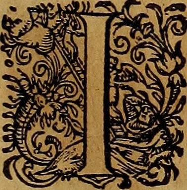 An illustration from Americæ nona & postrema pars : qua de ratione elementorum, de novi orbis natvra, de hvivs incolarvm svperstitiosis cultibus : deq; forma politiæ ac reipubl. ipsorum copiosè pertractatur : catalogo regnum Mexicanorum omnium, à primo vsq; ad vltimum Monteçuman II. additio ... : his accessit designatio illivs navigationis, quam 5. naves Hollandicae anno 1598. per fretum Magellanum in Moluccanas insulas tentarunt : quomodo nimirum oborta tempestate Capitaeus Sebalt de Weert à cæteris nauibus dispulsus, postquam plurimis mensibus in freto infinitis aerumnis miserè iactatus fuisset, tandem infectare post biennum an. 1600. domum reuersus sit : addita est tertio navigatio recens, quam 4. navium praefectus Olevier à Noort proximè suscepit ... : omnia è Germanico Latinitate donata, & insuper elegantissimis figuris æneis coornata editaq; sumptibus Theodori de Bry p.m. Viduæ & binorum filiorum, 1602, leaf 602