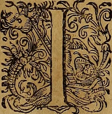 An illustration from Americæ nona & postrema pars : qua de ratione elementorum, de novi orbis natvra, de hvivs incolarvm svperstitiosis cultibus : deq; forma politiæ ac reipubl. ipsorum copiosè pertractatur : catalogo regnum Mexicanorum omnium, à primo vsq; ad vltimum Monteçuman II. additio ... : his accessit designatio illivs navigationis, quam 5. naves Hollandicae anno 1598. per fretum Magellanum in Moluccanas insulas tentarunt : quomodo nimirum oborta tempestate Capitaeus Sebalt de Weert à cæteris nauibus dispulsus, postquam plurimis mensibus in freto infinitis aerumnis miserè iactatus fuisset, tandem infectare post biennum an. 1600. domum reuersus sit : addita est tertio navigatio recens, quam 4. navium praefectus Olevier à Noort proximè suscepit ... : omnia è Germanico Latinitate donata, & insuper elegantissimis figuris æneis coornata editaq; sumptibus Theodori de Bry p.m. Viduæ & binorum filiorum, 1602, leaf 604