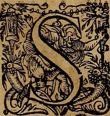 An illustration from Americæ nona & postrema pars : qua de ratione elementorum, de novi orbis natvra, de hvivs incolarvm svperstitiosis cultibus : deq; forma politiæ ac reipubl. ipsorum copiosè pertractatur : catalogo regnum Mexicanorum omnium, à primo vsq; ad vltimum Monteçuman II. additio ... : his accessit designatio illivs navigationis, quam 5. naves Hollandicae anno 1598. per fretum Magellanum in Moluccanas insulas tentarunt : quomodo nimirum oborta tempestate Capitaeus Sebalt de Weert à cæteris nauibus dispulsus, postquam plurimis mensibus in freto infinitis aerumnis miserè iactatus fuisset, tandem infectare post biennum an. 1600. domum reuersus sit : addita est tertio navigatio recens, quam 4. navium praefectus Olevier à Noort proximè suscepit ... : omnia è Germanico Latinitate donata, & insuper elegantissimis figuris æneis coornata editaq; sumptibus Theodori de Bry p.m. Viduæ & binorum filiorum, 1602, leaf 606