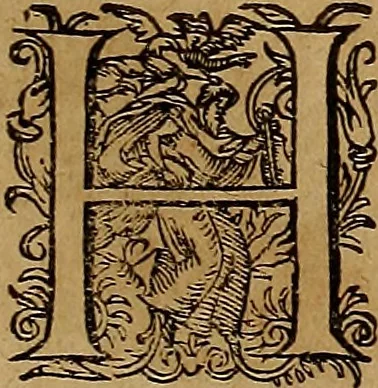 An illustration from Americæ nona & postrema pars : qua de ratione elementorum, de novi orbis natvra, de hvivs incolarvm svperstitiosis cultibus : deq; forma politiæ ac reipubl. ipsorum copiosè pertractatur : catalogo regnum Mexicanorum omnium, à primo vsq; ad vltimum Monteçuman II. additio ... : his accessit designatio illivs navigationis, quam 5. naves Hollandicae anno 1598. per fretum Magellanum in Moluccanas insulas tentarunt : quomodo nimirum oborta tempestate Capitaeus Sebalt de Weert à cæteris nauibus dispulsus, postquam plurimis mensibus in freto infinitis aerumnis miserè iactatus fuisset, tandem infectare post biennum an. 1600. domum reuersus sit : addita est tertio navigatio recens, quam 4. navium praefectus Olevier à Noort proximè suscepit ... : omnia è Germanico Latinitate donata, & insuper elegantissimis figuris æneis coornata editaq; sumptibus Theodori de Bry p.m. Viduæ & binorum filiorum, 1602, leaf 608