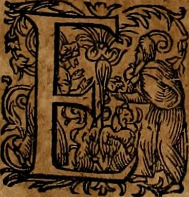 An illustration from Americæ nona & postrema pars : qua de ratione elementorum, de novi orbis natvra, de hvivs incolarvm svperstitiosis cultibus : deq; forma politiæ ac reipubl. ipsorum copiosè pertractatur : catalogo regnum Mexicanorum omnium, à primo vsq; ad vltimum Monteçuman II. additio ... : his accessit designatio illivs navigationis, quam 5. naves Hollandicae anno 1598. per fretum Magellanum in Moluccanas insulas tentarunt : quomodo nimirum oborta tempestate Capitaeus Sebalt de Weert à cæteris nauibus dispulsus, postquam plurimis mensibus in freto infinitis aerumnis miserè iactatus fuisset, tandem infectare post biennum an. 1600. domum reuersus sit : addita est tertio navigatio recens, quam 4. navium praefectus Olevier à Noort proximè suscepit ... : omnia è Germanico Latinitate donata, & insuper elegantissimis figuris æneis coornata editaq; sumptibus Theodori de Bry p.m. Viduæ & binorum filiorum, 1602, leaf 61