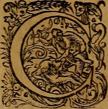 An illustration from Americæ nona & postrema pars : qua de ratione elementorum, de novi orbis natvra, de hvivs incolarvm svperstitiosis cultibus : deq; forma politiæ ac reipubl. ipsorum copiosè pertractatur : catalogo regnum Mexicanorum omnium, à primo vsq; ad vltimum Monteçuman II. additio ... : his accessit designatio illivs navigationis, quam 5. naves Hollandicae anno 1598. per fretum Magellanum in Moluccanas insulas tentarunt : quomodo nimirum oborta tempestate Capitaeus Sebalt de Weert à cæteris nauibus dispulsus, postquam plurimis mensibus in freto infinitis aerumnis miserè iactatus fuisset, tandem infectare post biennum an. 1600. domum reuersus sit : addita est tertio navigatio recens, quam 4. navium praefectus Olevier à Noort proximè suscepit ... : omnia è Germanico Latinitate donata, & insuper elegantissimis figuris æneis coornata editaq; sumptibus Theodori de Bry p.m. Viduæ & binorum filiorum, 1602, leaf 610