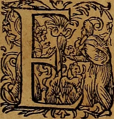 An illustration from Americæ nona & postrema pars : qua de ratione elementorum, de novi orbis natvra, de hvivs incolarvm svperstitiosis cultibus : deq; forma politiæ ac reipubl. ipsorum copiosè pertractatur : catalogo regnum Mexicanorum omnium, à primo vsq; ad vltimum Monteçuman II. additio ... : his accessit designatio illivs navigationis, quam 5. naves Hollandicae anno 1598. per fretum Magellanum in Moluccanas insulas tentarunt : quomodo nimirum oborta tempestate Capitaeus Sebalt de Weert à cæteris nauibus dispulsus, postquam plurimis mensibus in freto infinitis aerumnis miserè iactatus fuisset, tandem infectare post biennum an. 1600. domum reuersus sit : addita est tertio navigatio recens, quam 4. navium praefectus Olevier à Noort proximè suscepit ... : omnia è Germanico Latinitate donata, & insuper elegantissimis figuris æneis coornata editaq; sumptibus Theodori de Bry p.m. Viduæ & binorum filiorum, 1602, leaf 612