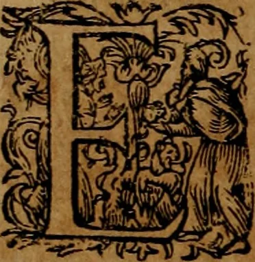 An illustration from Americæ nona & postrema pars : qua de ratione elementorum, de novi orbis natvra, de hvivs incolarvm svperstitiosis cultibus : deq; forma politiæ ac reipubl. ipsorum copiosè pertractatur : catalogo regnum Mexicanorum omnium, à primo vsq; ad vltimum Monteçuman II. additio ... : his accessit designatio illivs navigationis, quam 5. naves Hollandicae anno 1598. per fretum Magellanum in Moluccanas insulas tentarunt : quomodo nimirum oborta tempestate Capitaeus Sebalt de Weert à cæteris nauibus dispulsus, postquam plurimis mensibus in freto infinitis aerumnis miserè iactatus fuisset, tandem infectare post biennum an. 1600. domum reuersus sit : addita est tertio navigatio recens, quam 4. navium praefectus Olevier à Noort proximè suscepit ... : omnia è Germanico Latinitate donata, & insuper elegantissimis figuris æneis coornata editaq; sumptibus Theodori de Bry p.m. Viduæ & binorum filiorum, 1602, leaf 63