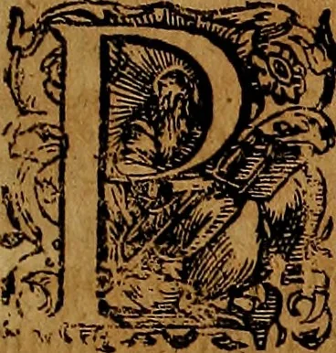 An illustration from Americæ nona & postrema pars : qua de ratione elementorum, de novi orbis natvra, de hvivs incolarvm svperstitiosis cultibus : deq; forma politiæ ac reipubl. ipsorum copiosè pertractatur : catalogo regnum Mexicanorum omnium, à primo vsq; ad vltimum Monteçuman II. additio ... : his accessit designatio illivs navigationis, quam 5. naves Hollandicae anno 1598. per fretum Magellanum in Moluccanas insulas tentarunt : quomodo nimirum oborta tempestate Capitaeus Sebalt de Weert à cæteris nauibus dispulsus, postquam plurimis mensibus in freto infinitis aerumnis miserè iactatus fuisset, tandem infectare post biennum an. 1600. domum reuersus sit : addita est tertio navigatio recens, quam 4. navium praefectus Olevier à Noort proximè suscepit ... : omnia è Germanico Latinitate donata, & insuper elegantissimis figuris æneis coornata editaq; sumptibus Theodori de Bry p.m. Viduæ & binorum filiorum, 1602, leaf 64