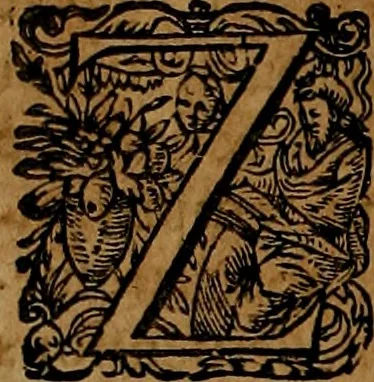 An illustration from Americæ nona & postrema pars : qua de ratione elementorum, de novi orbis natvra, de hvivs incolarvm svperstitiosis cultibus : deq; forma politiæ ac reipubl. ipsorum copiosè pertractatur : catalogo regnum Mexicanorum omnium, à primo vsq; ad vltimum Monteçuman II. additio ... : his accessit designatio illivs navigationis, quam 5. naves Hollandicae anno 1598. per fretum Magellanum in Moluccanas insulas tentarunt : quomodo nimirum oborta tempestate Capitaeus Sebalt de Weert à cæteris nauibus dispulsus, postquam plurimis mensibus in freto infinitis aerumnis miserè iactatus fuisset, tandem infectare post biennum an. 1600. domum reuersus sit : addita est tertio navigatio recens, quam 4. navium praefectus Olevier à Noort proximè suscepit ... : omnia è Germanico Latinitate donata, & insuper elegantissimis figuris æneis coornata editaq; sumptibus Theodori de Bry p.m. Viduæ & binorum filiorum, 1602, leaf 65