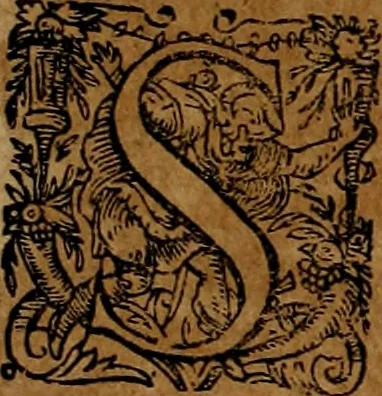 An illustration from Americæ nona & postrema pars : qua de ratione elementorum, de novi orbis natvra, de hvivs incolarvm svperstitiosis cultibus : deq; forma politiæ ac reipubl. ipsorum copiosè pertractatur : catalogo regnum Mexicanorum omnium, à primo vsq; ad vltimum Monteçuman II. additio ... : his accessit designatio illivs navigationis, quam 5. naves Hollandicae anno 1598. per fretum Magellanum in Moluccanas insulas tentarunt : quomodo nimirum oborta tempestate Capitaeus Sebalt de Weert à cæteris nauibus dispulsus, postquam plurimis mensibus in freto infinitis aerumnis miserè iactatus fuisset, tandem infectare post biennum an. 1600. domum reuersus sit : addita est tertio navigatio recens, quam 4. navium praefectus Olevier à Noort proximè suscepit ... : omnia è Germanico Latinitate donata, & insuper elegantissimis figuris æneis coornata editaq; sumptibus Theodori de Bry p.m. Viduæ & binorum filiorum, 1602, leaf 67