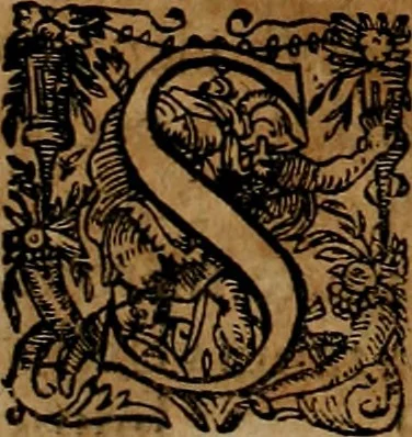 An illustration from Americæ nona & postrema pars : qua de ratione elementorum, de novi orbis natvra, de hvivs incolarvm svperstitiosis cultibus : deq; forma politiæ ac reipubl. ipsorum copiosè pertractatur : catalogo regnum Mexicanorum omnium, à primo vsq; ad vltimum Monteçuman II. additio ... : his accessit designatio illivs navigationis, quam 5. naves Hollandicae anno 1598. per fretum Magellanum in Moluccanas insulas tentarunt : quomodo nimirum oborta tempestate Capitaeus Sebalt de Weert à cæteris nauibus dispulsus, postquam plurimis mensibus in freto infinitis aerumnis miserè iactatus fuisset, tandem infectare post biennum an. 1600. domum reuersus sit : addita est tertio navigatio recens, quam 4. navium praefectus Olevier à Noort proximè suscepit ... : omnia è Germanico Latinitate donata, & insuper elegantissimis figuris æneis coornata editaq; sumptibus Theodori de Bry p.m. Viduæ & binorum filiorum, 1602, leaf 69