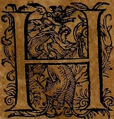 An illustration from Americæ nona & postrema pars : qua de ratione elementorum, de novi orbis natvra, de hvivs incolarvm svperstitiosis cultibus : deq; forma politiæ ac reipubl. ipsorum copiosè pertractatur : catalogo regnum Mexicanorum omnium, à primo vsq; ad vltimum Monteçuman II. additio ... : his accessit designatio illivs navigationis, quam 5. naves Hollandicae anno 1598. per fretum Magellanum in Moluccanas insulas tentarunt : quomodo nimirum oborta tempestate Capitaeus Sebalt de Weert à cæteris nauibus dispulsus, postquam plurimis mensibus in freto infinitis aerumnis miserè iactatus fuisset, tandem infectare post biennum an. 1600. domum reuersus sit : addita est tertio navigatio recens, quam 4. navium praefectus Olevier à Noort proximè suscepit ... : omnia è Germanico Latinitate donata, & insuper elegantissimis figuris æneis coornata editaq; sumptibus Theodori de Bry p.m. Viduæ & binorum filiorum, 1602, leaf 70