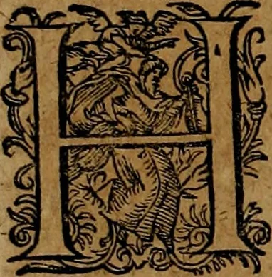 An illustration from Americæ nona & postrema pars : qua de ratione elementorum, de novi orbis natvra, de hvivs incolarvm svperstitiosis cultibus : deq; forma politiæ ac reipubl. ipsorum copiosè pertractatur : catalogo regnum Mexicanorum omnium, à primo vsq; ad vltimum Monteçuman II. additio ... : his accessit designatio illivs navigationis, quam 5. naves Hollandicae anno 1598. per fretum Magellanum in Moluccanas insulas tentarunt : quomodo nimirum oborta tempestate Capitaeus Sebalt de Weert à cæteris nauibus dispulsus, postquam plurimis mensibus in freto infinitis aerumnis miserè iactatus fuisset, tandem infectare post biennum an. 1600. domum reuersus sit : addita est tertio navigatio recens, quam 4. navium praefectus Olevier à Noort proximè suscepit ... : omnia è Germanico Latinitate donata, & insuper elegantissimis figuris æneis coornata editaq; sumptibus Theodori de Bry p.m. Viduæ & binorum filiorum, 1602, leaf 75
