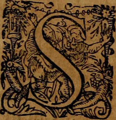 An illustration from Americæ nona & postrema pars : qua de ratione elementorum, de novi orbis natvra, de hvivs incolarvm svperstitiosis cultibus : deq; forma politiæ ac reipubl. ipsorum copiosè pertractatur : catalogo regnum Mexicanorum omnium, à primo vsq; ad vltimum Monteçuman II. additio ... : his accessit designatio illivs navigationis, quam 5. naves Hollandicae anno 1598. per fretum Magellanum in Moluccanas insulas tentarunt : quomodo nimirum oborta tempestate Capitaeus Sebalt de Weert à cæteris nauibus dispulsus, postquam plurimis mensibus in freto infinitis aerumnis miserè iactatus fuisset, tandem infectare post biennum an. 1600. domum reuersus sit : addita est tertio navigatio recens, quam 4. navium praefectus Olevier à Noort proximè suscepit ... : omnia è Germanico Latinitate donata, & insuper elegantissimis figuris æneis coornata editaq; sumptibus Theodori de Bry p.m. Viduæ & binorum filiorum, 1602, leaf 79