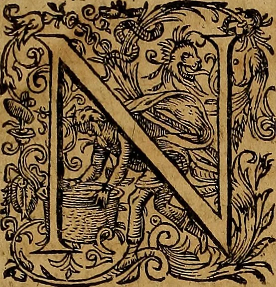 An illustration from Americæ nona & postrema pars : qua de ratione elementorum, de novi orbis natvra, de hvivs incolarvm svperstitiosis cultibus : deq; forma politiæ ac reipubl. ipsorum copiosè pertractatur : catalogo regnum Mexicanorum omnium, à primo vsq; ad vltimum Monteçuman II. additio ... : his accessit designatio illivs navigationis, quam 5. naves Hollandicae anno 1598. per fretum Magellanum in Moluccanas insulas tentarunt : quomodo nimirum oborta tempestate Capitaeus Sebalt de Weert à cæteris nauibus dispulsus, postquam plurimis mensibus in freto infinitis aerumnis miserè iactatus fuisset, tandem infectare post biennum an. 1600. domum reuersus sit : addita est tertio navigatio recens, quam 4. navium praefectus Olevier à Noort proximè suscepit ... : omnia è Germanico Latinitate donata, & insuper elegantissimis figuris æneis coornata editaq; sumptibus Theodori de Bry p.m. Viduæ & binorum filiorum, 1602, leaf 8