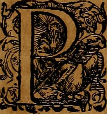 An illustration from Americæ nona & postrema pars : qua de ratione elementorum, de novi orbis natvra, de hvivs incolarvm svperstitiosis cultibus : deq; forma politiæ ac reipubl. ipsorum copiosè pertractatur : catalogo regnum Mexicanorum omnium, à primo vsq; ad vltimum Monteçuman II. additio ... : his accessit designatio illivs navigationis, quam 5. naves Hollandicae anno 1598. per fretum Magellanum in Moluccanas insulas tentarunt : quomodo nimirum oborta tempestate Capitaeus Sebalt de Weert à cæteris nauibus dispulsus, postquam plurimis mensibus in freto infinitis aerumnis miserè iactatus fuisset, tandem infectare post biennum an. 1600. domum reuersus sit : addita est tertio navigatio recens, quam 4. navium praefectus Olevier à Noort proximè suscepit ... : omnia è Germanico Latinitate donata, & insuper elegantissimis figuris æneis coornata editaq; sumptibus Theodori de Bry p.m. Viduæ & binorum filiorum, 1602, leaf 82