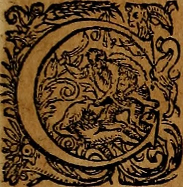 An illustration from Americæ nona & postrema pars : qua de ratione elementorum, de novi orbis natvra, de hvivs incolarvm svperstitiosis cultibus : deq; forma politiæ ac reipubl. ipsorum copiosè pertractatur : catalogo regnum Mexicanorum omnium, à primo vsq; ad vltimum Monteçuman II. additio ... : his accessit designatio illivs navigationis, quam 5. naves Hollandicae anno 1598. per fretum Magellanum in Moluccanas insulas tentarunt : quomodo nimirum oborta tempestate Capitaeus Sebalt de Weert à cæteris nauibus dispulsus, postquam plurimis mensibus in freto infinitis aerumnis miserè iactatus fuisset, tandem infectare post biennum an. 1600. domum reuersus sit : addita est tertio navigatio recens, quam 4. navium praefectus Olevier à Noort proximè suscepit ... : omnia è Germanico Latinitate donata, & insuper elegantissimis figuris æneis coornata editaq; sumptibus Theodori de Bry p.m. Viduæ & binorum filiorum, 1602, leaf 92