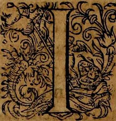 An illustration from Americæ nona & postrema pars : qua de ratione elementorum, de novi orbis natvra, de hvivs incolarvm svperstitiosis cultibus : deq; forma politiæ ac reipubl. ipsorum copiosè pertractatur : catalogo regnum Mexicanorum omnium, à primo vsq; ad vltimum Monteçuman II. additio ... : his accessit designatio illivs navigationis, quam 5. naves Hollandicae anno 1598. per fretum Magellanum in Moluccanas insulas tentarunt : quomodo nimirum oborta tempestate Capitaeus Sebalt de Weert à cæteris nauibus dispulsus, postquam plurimis mensibus in freto infinitis aerumnis miserè iactatus fuisset, tandem infectare post biennum an. 1600. domum reuersus sit : addita est tertio navigatio recens, quam 4. navium praefectus Olevier à Noort proximè suscepit ... : omnia è Germanico Latinitate donata, & insuper elegantissimis figuris æneis coornata editaq; sumptibus Theodori de Bry p.m. Viduæ & binorum filiorum, 1602, leaf 95
