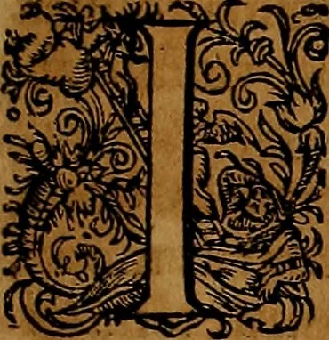 An illustration from Americæ nona & postrema pars : qua de ratione elementorum, de novi orbis natvra, de hvivs incolarvm svperstitiosis cultibus : deq; forma politiæ ac reipubl. ipsorum copiosè pertractatur : catalogo regnum Mexicanorum omnium, à primo vsq; ad vltimum Monteçuman II. additio ... : his accessit designatio illivs navigationis, quam 5. naves Hollandicae anno 1598. per fretum Magellanum in Moluccanas insulas tentarunt : quomodo nimirum oborta tempestate Capitaeus Sebalt de Weert à cæteris nauibus dispulsus, postquam plurimis mensibus in freto infinitis aerumnis miserè iactatus fuisset, tandem infectare post biennum an. 1600. domum reuersus sit : addita est tertio navigatio recens, quam 4. navium praefectus Olevier à Noort proximè suscepit ... : omnia è Germanico Latinitate donata, & insuper elegantissimis figuris æneis coornata editaq; sumptibus Theodori de Bry p.m. Viduæ & binorum filiorum, 1602, leaf 98