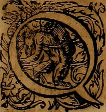 An illustration from Americæ nona & postrema pars : qua de ratione elementorum, de novi orbis natvra, de hvivs incolarvm svperstitiosis cultibus : deq; forma politiæ ac reipubl. ipsorum copiosè pertractatur : catalogo regnum Mexicanorum omnium, à primo vsq; ad vltimum Monteçuman II. additio ... : his accessit designatio illivs navigationis, quam 5. naves Hollandicae anno 1598. per fretum Magellanum in Moluccanas insulas tentarunt : quomodo nimirum oborta tempestate Capitaeus Sebalt de Weert à cæteris nauibus dispulsus, postquam plurimis mensibus in freto infinitis aerumnis miserè iactatus fuisset, tandem infectare post biennum an. 1600. domum reuersus sit : addita est tertio navigatio recens, quam 4. navium praefectus Olevier à Noort proximè suscepit ... : omnia è Germanico Latinitate donata, & insuper elegantissimis figuris æneis coornata editaq; sumptibus Theodori de Bry p.m. Viduæ & binorum filiorum, 1602, leaf 98