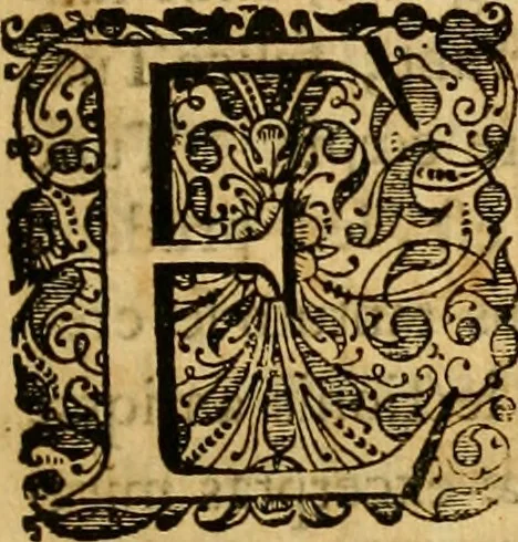 An illustration from Ammiani Marcellini Rerum gestarum qui de XXXI supersunt, libri XVIII, 1693, leaf 10