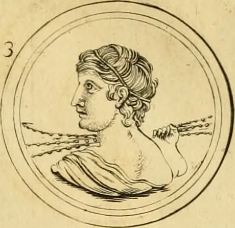 An illustration from Ammiani Marcellini Rerum gestarum qui de XXXI supersunt, libri XVIII, 1693, leaf 38
