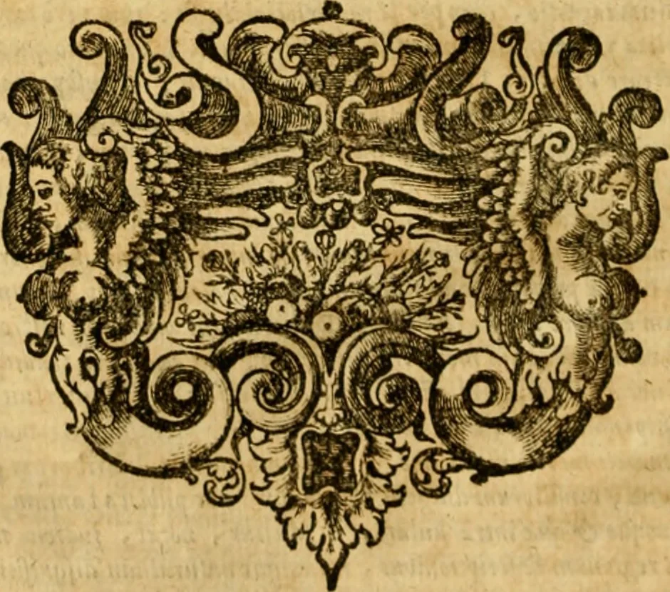 An illustration from Ammiani Marcellini Rerum gestarum qui de XXXI supersunt, libri XVIII, 1693, leaf 85