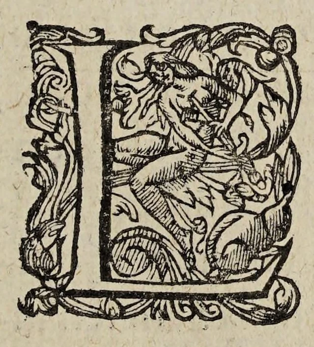 An illustration from Amnestie : ou, De l'oubliance des maux faicts et receus pendant les troubles & à l'occasion d'iceux., 1595, leaf 11