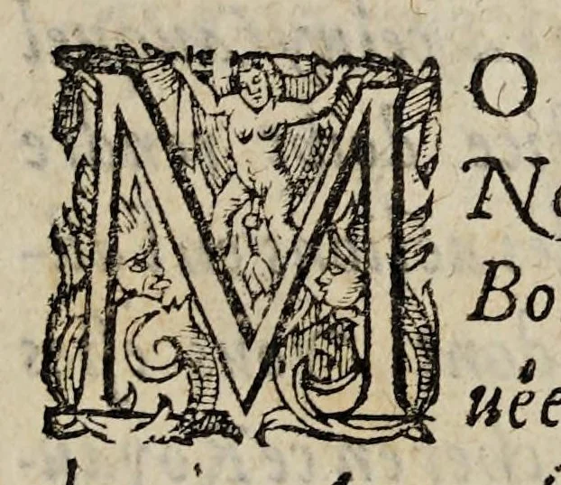 An illustration from Amnestie : ou, De l'oubliance des maux faicts et receus pendant les troubles & à l'occasion d'iceux., 1595, leaf 61